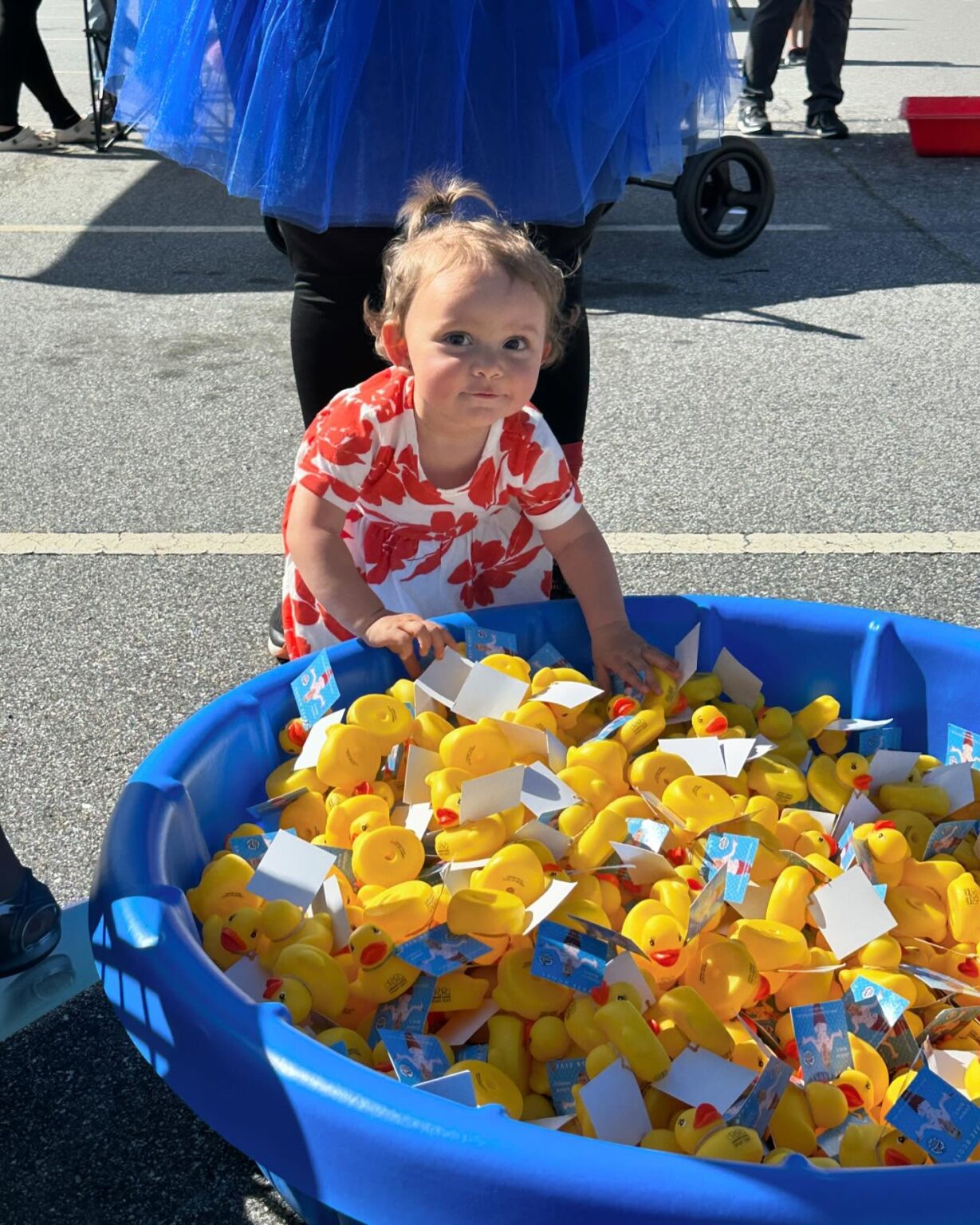 Child near a kitty pool filled with ducks